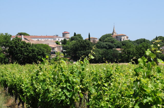 Électricien près de chez moi à Entre-Vignes